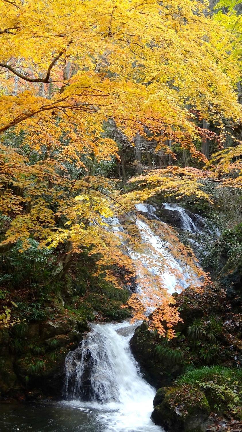 🏞️ 시모타키 폭포 (요코가와노시모타키) 이미지 3